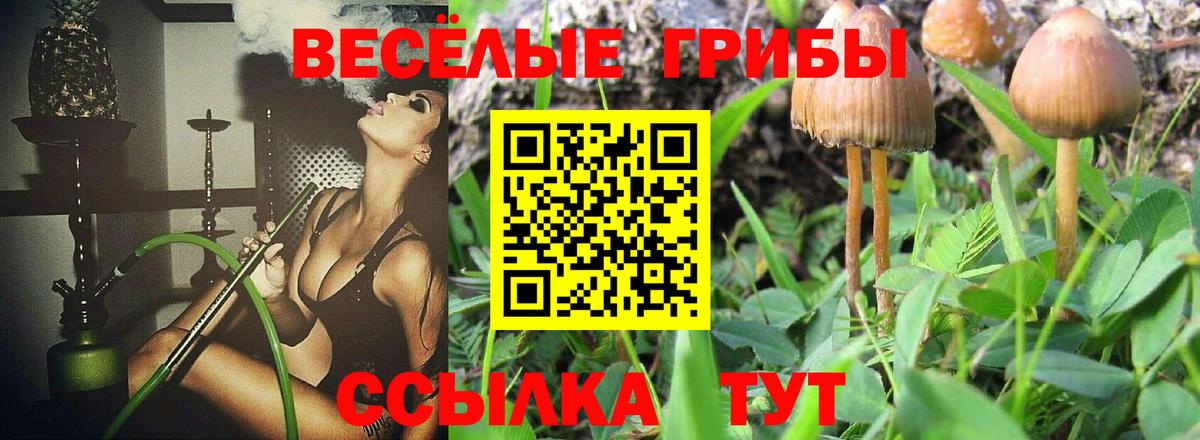 Галлюциногенные грибы Psilocybe  Псилоцибиновые грибы MAGIC MUSHROOMS  Вход с VPN  Псков 